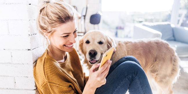 Adult female viewing mobile device sitting next to a Golden Labrador Retriever